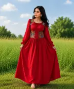 Scarlet Rose Corset Dress (3)